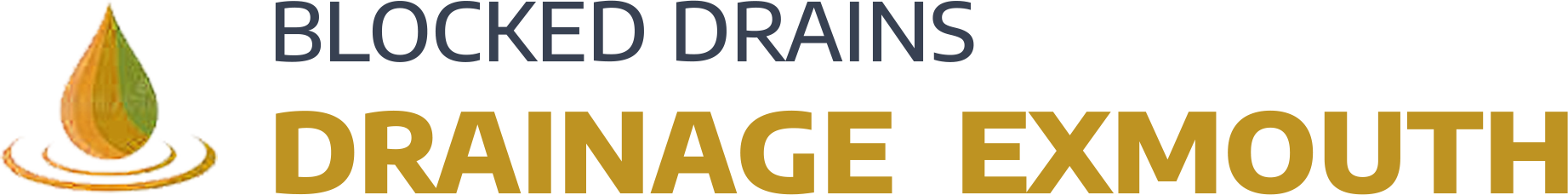 website logo